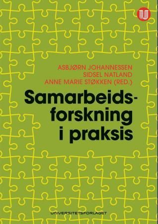 Samarbeidsforskning i praksis : erfaringer fra HUSK-prosjektet