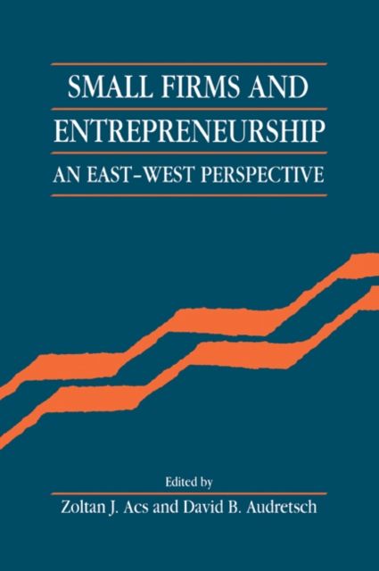 Small Firms and Entrepreneurship : An East-West Perspective