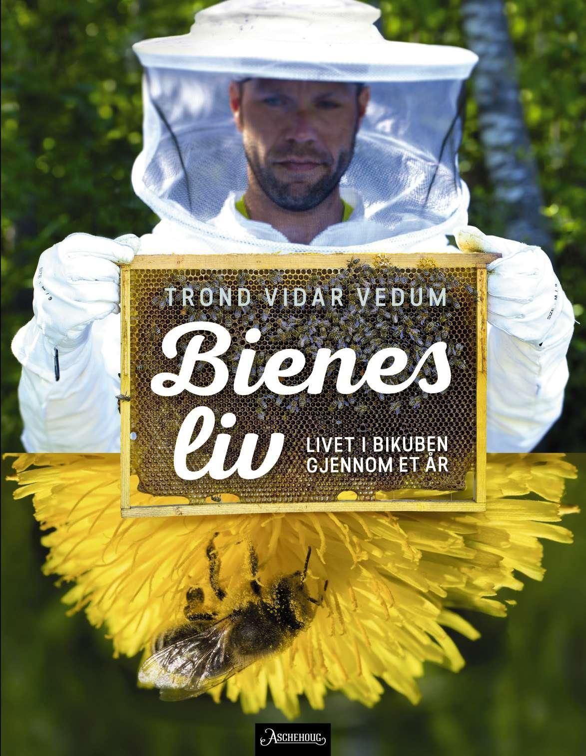 Bienes liv : livet i bikuben gjennom et år