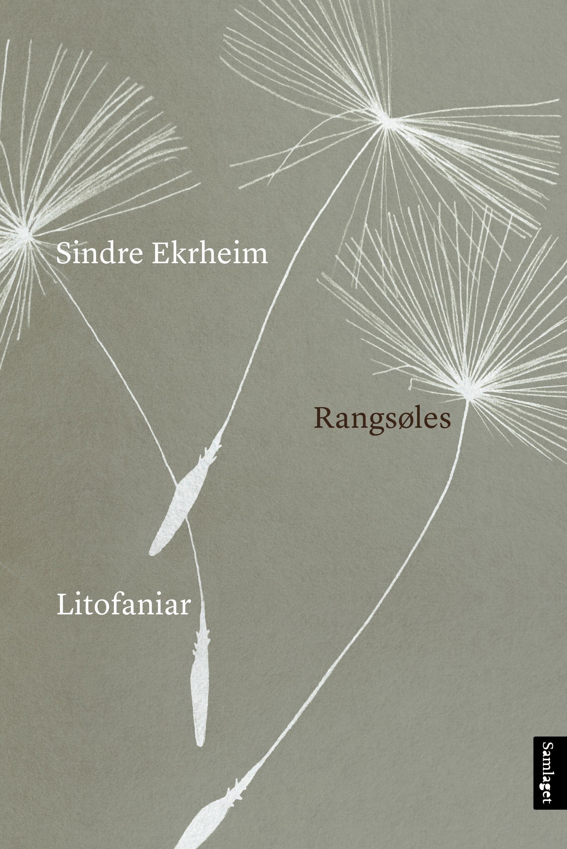 Rangsøles : litofaniar