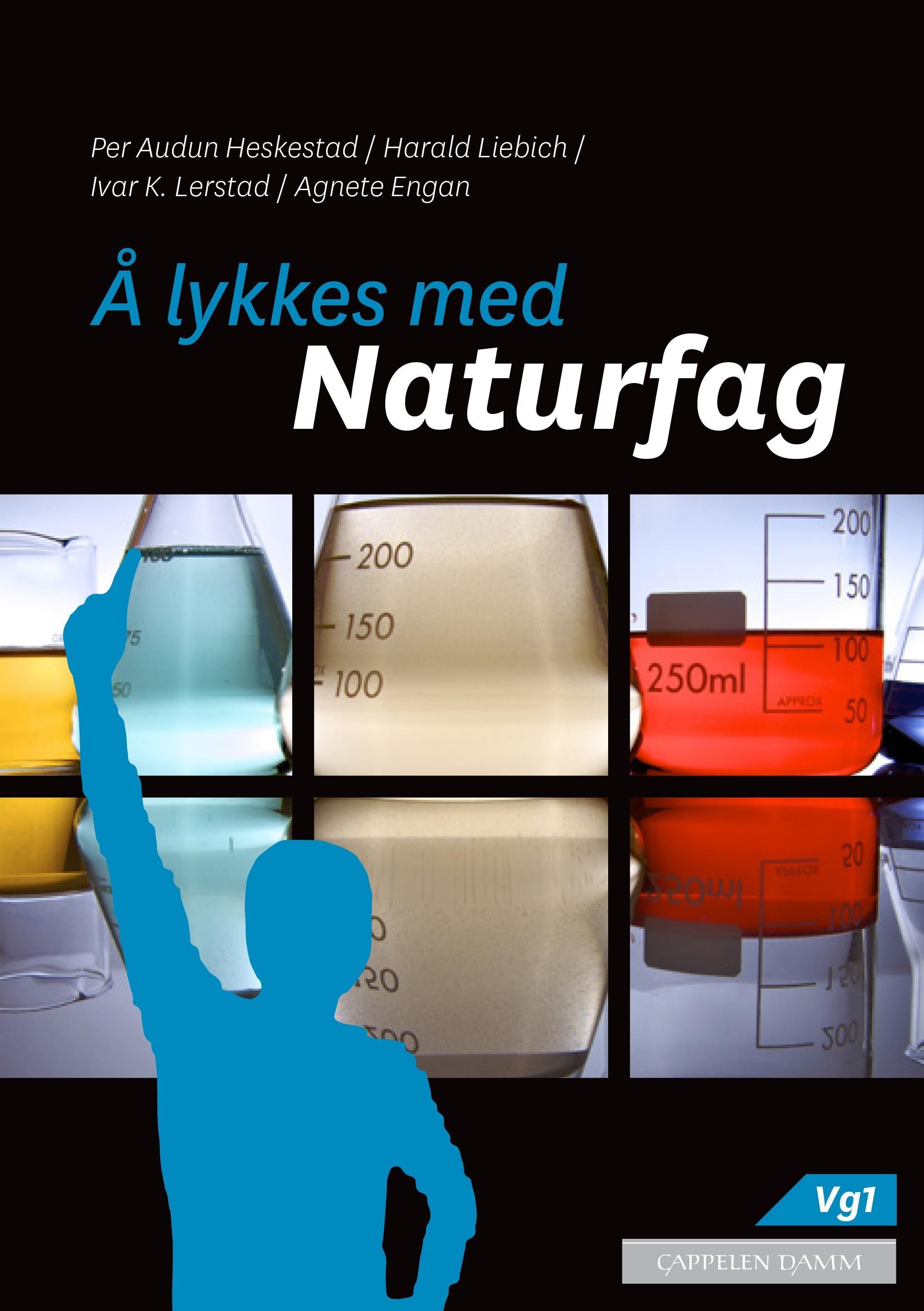 Å lykkes med naturfag : naturfag for yrkesfaglige og studieforberedende utdanningsprogram : vg1