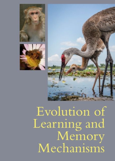 Forsidebilde av Evolution of Learning and Memory Mechanisms