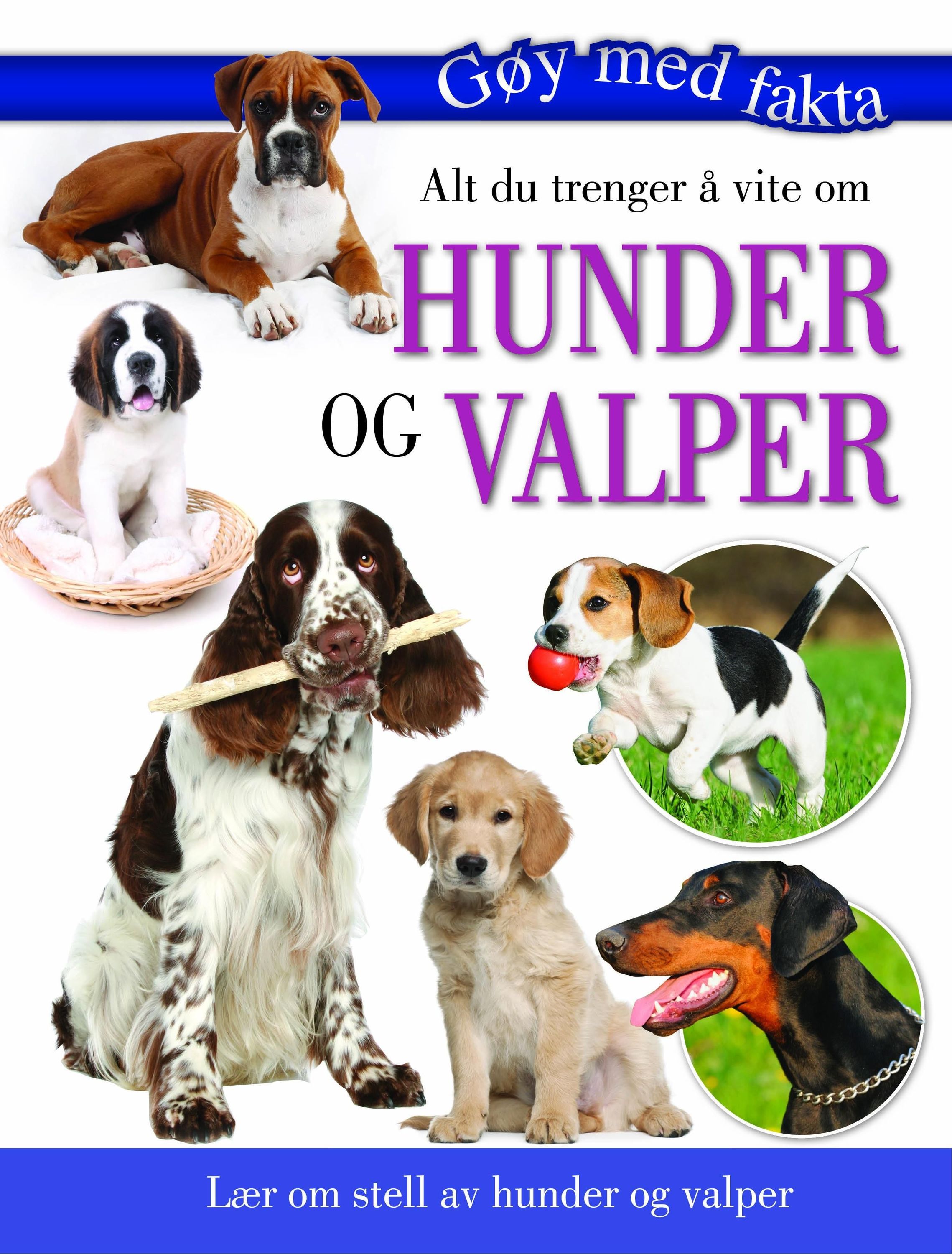 Alt du trenger å vite om hunder og valper : lær om stell av hunder og valper