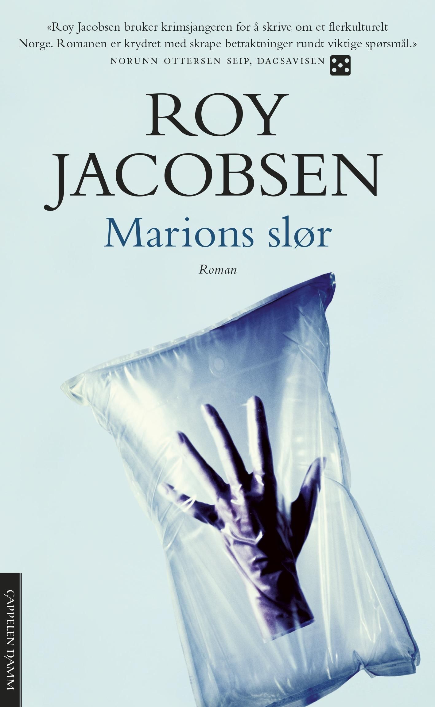 Marions slør : roman