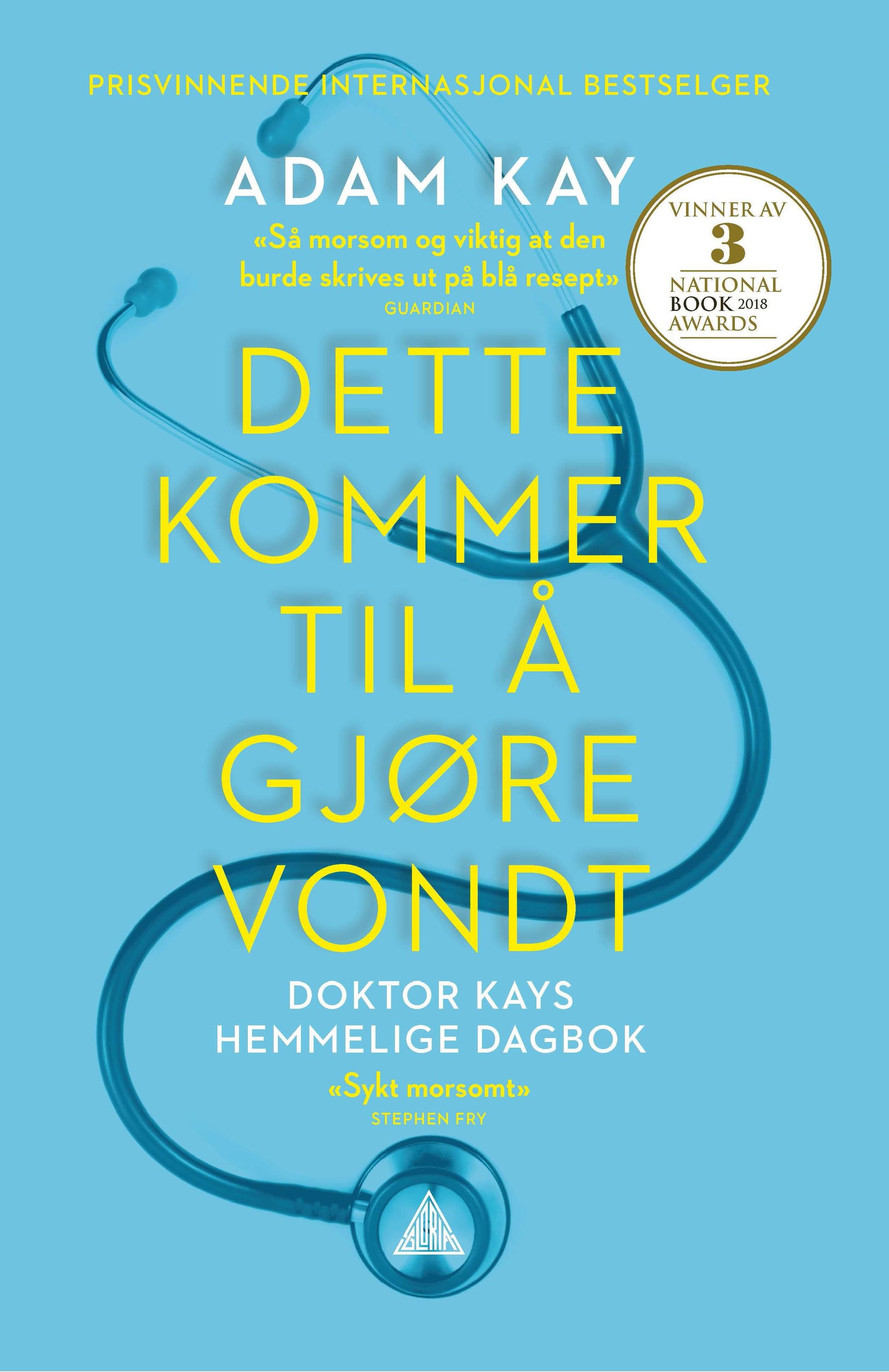 Dette kommer til å gjøre vondt : doktor Kays hemmelige dagbok