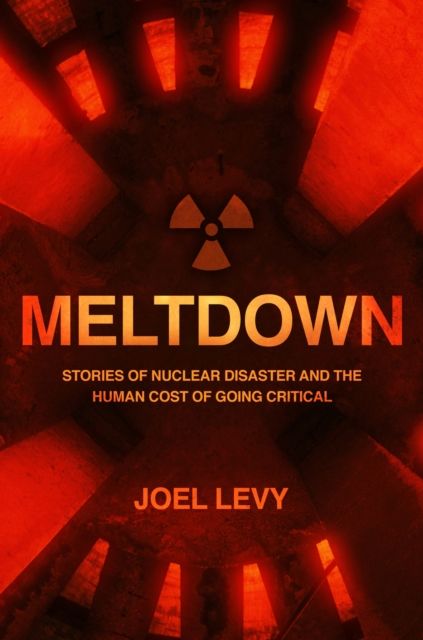 Meltdown : Stories of nuclear disaster and the human cost of going critical