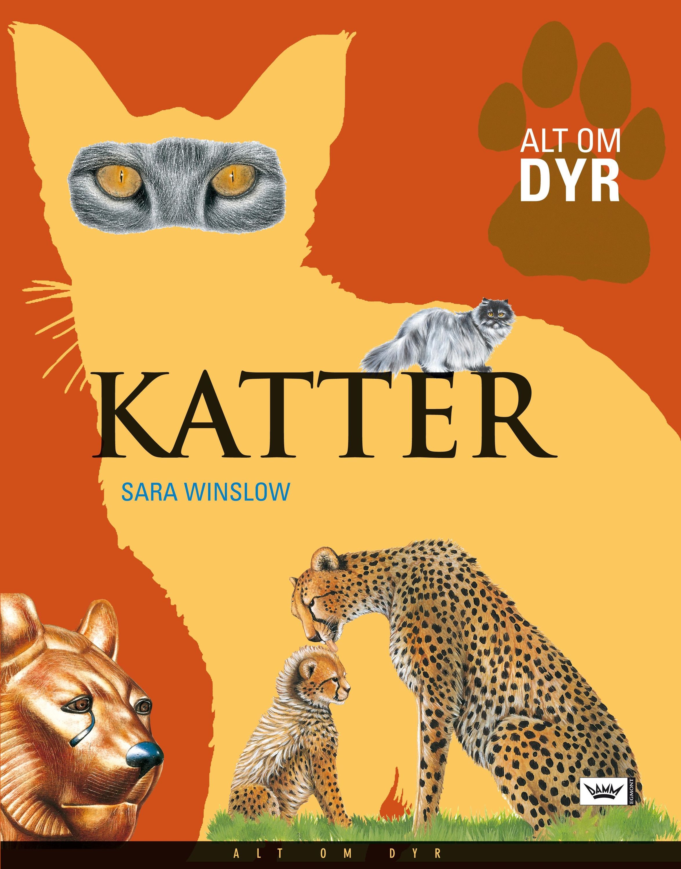 Katter