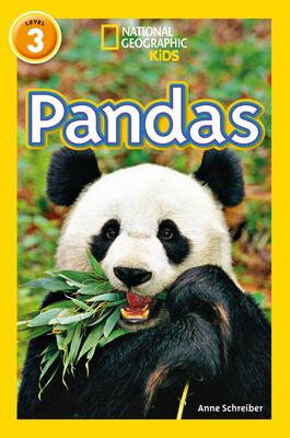 Pandas : Level 3
