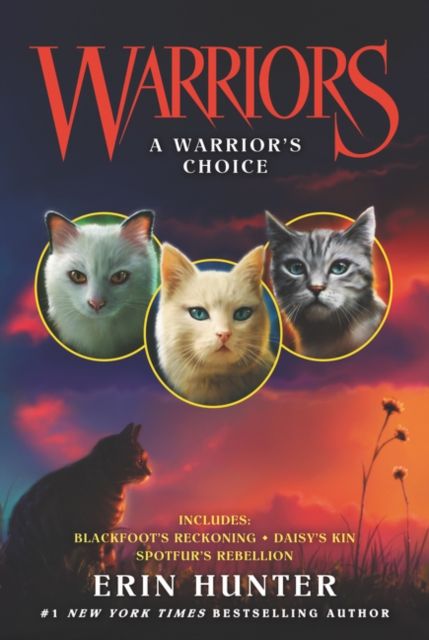 A warrior's choice