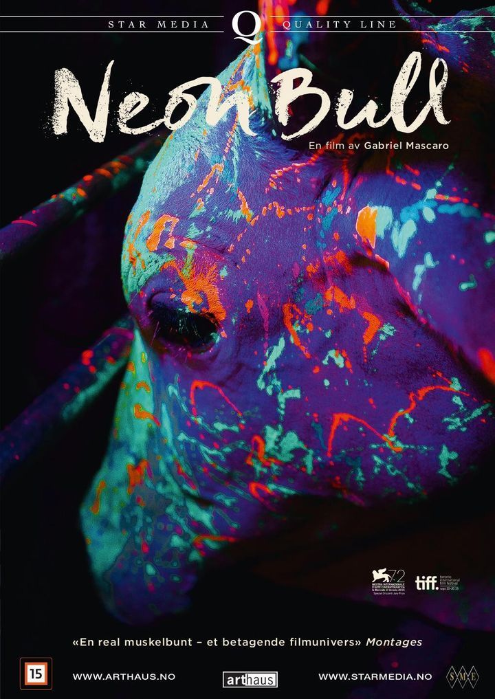 Neon bull