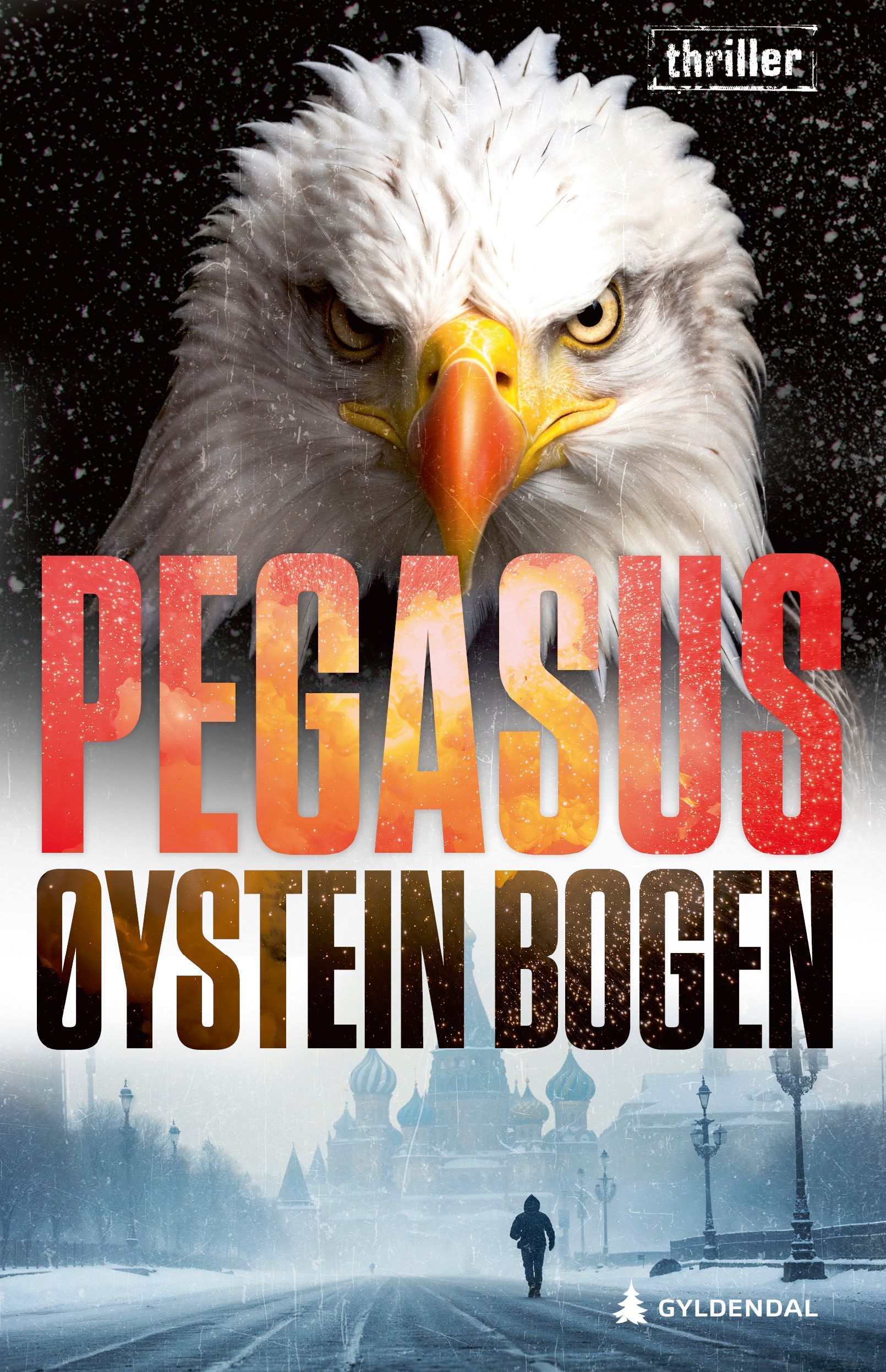 Pegasus : Pegas : thriller