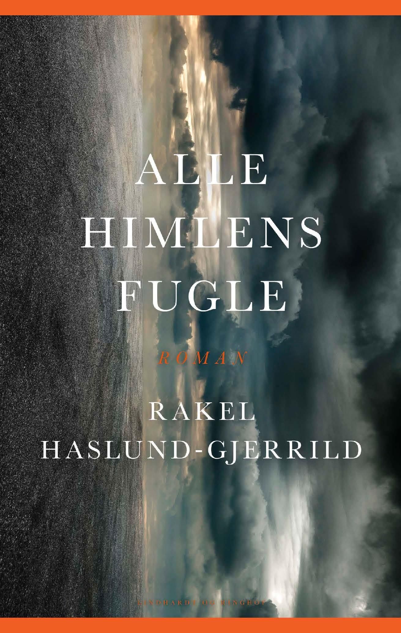 Alle himlens fugle : roman