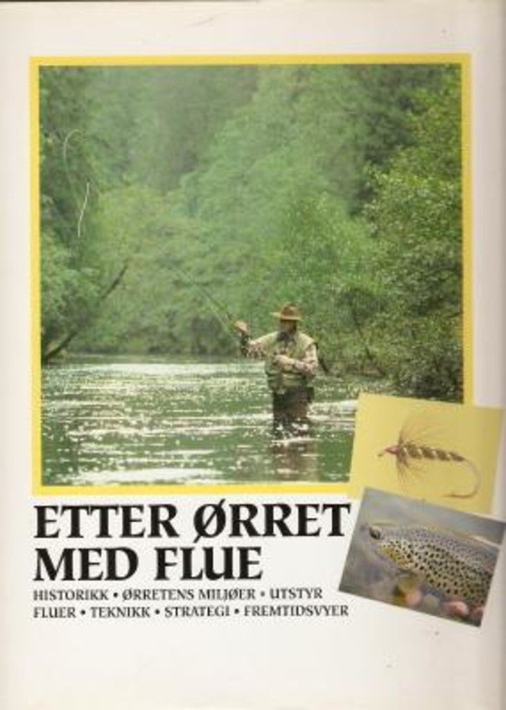 Etter ørret med flue