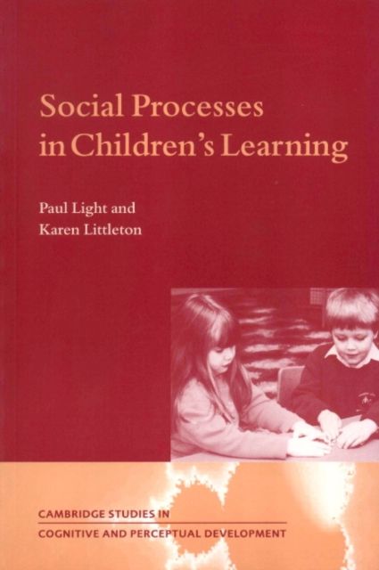 Social Processes in Children's Learning