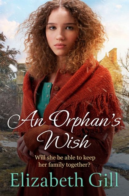 Forsidebilde av An Orphan's Wish