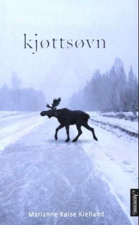 Kjøttsøvn : roman