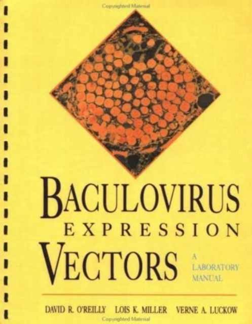 Baculovirus Expression Vectors : A Laboratory Manual