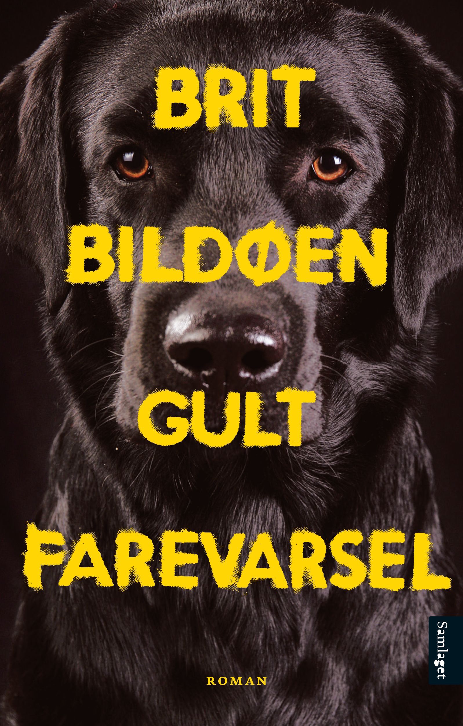 Gult farevarsel : roman