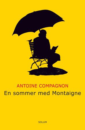 En sommer med