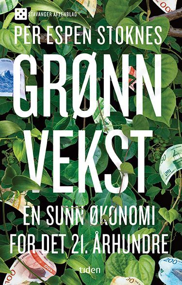 Grønn vekst : en sunn økonomi for det 21. århundre