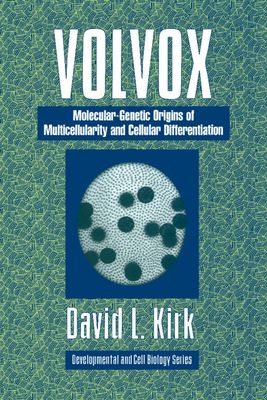 Volvox : A Search for the Molecular and Genetic Origins of Multicellularity and Cellular Differentiation