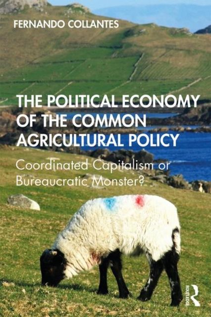 The Political Economy of the Common Agricultural Policy : Coordinated Capitalism or Bureaucratic Monster?