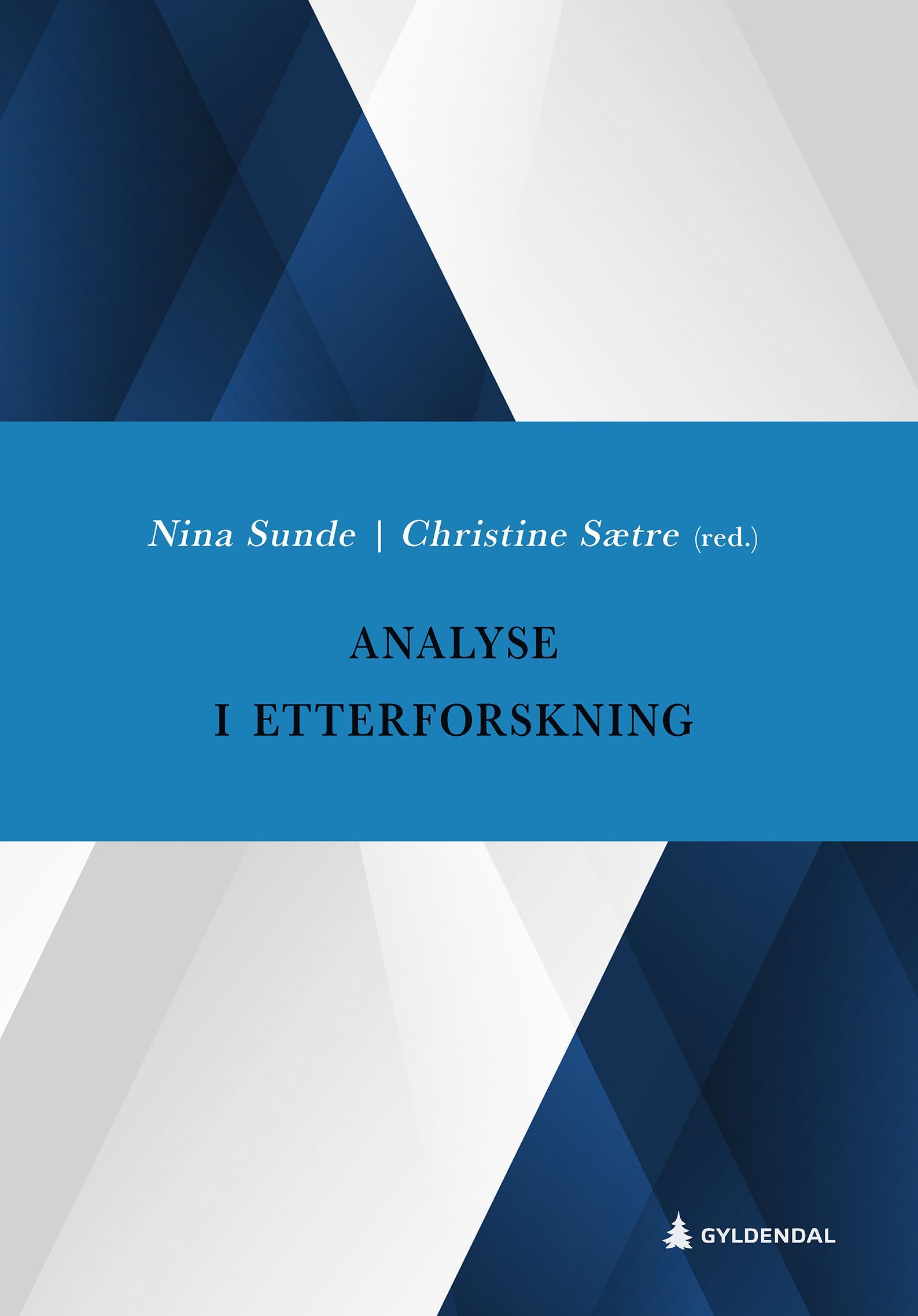 Forsidebilde av Analyse i etterforskning