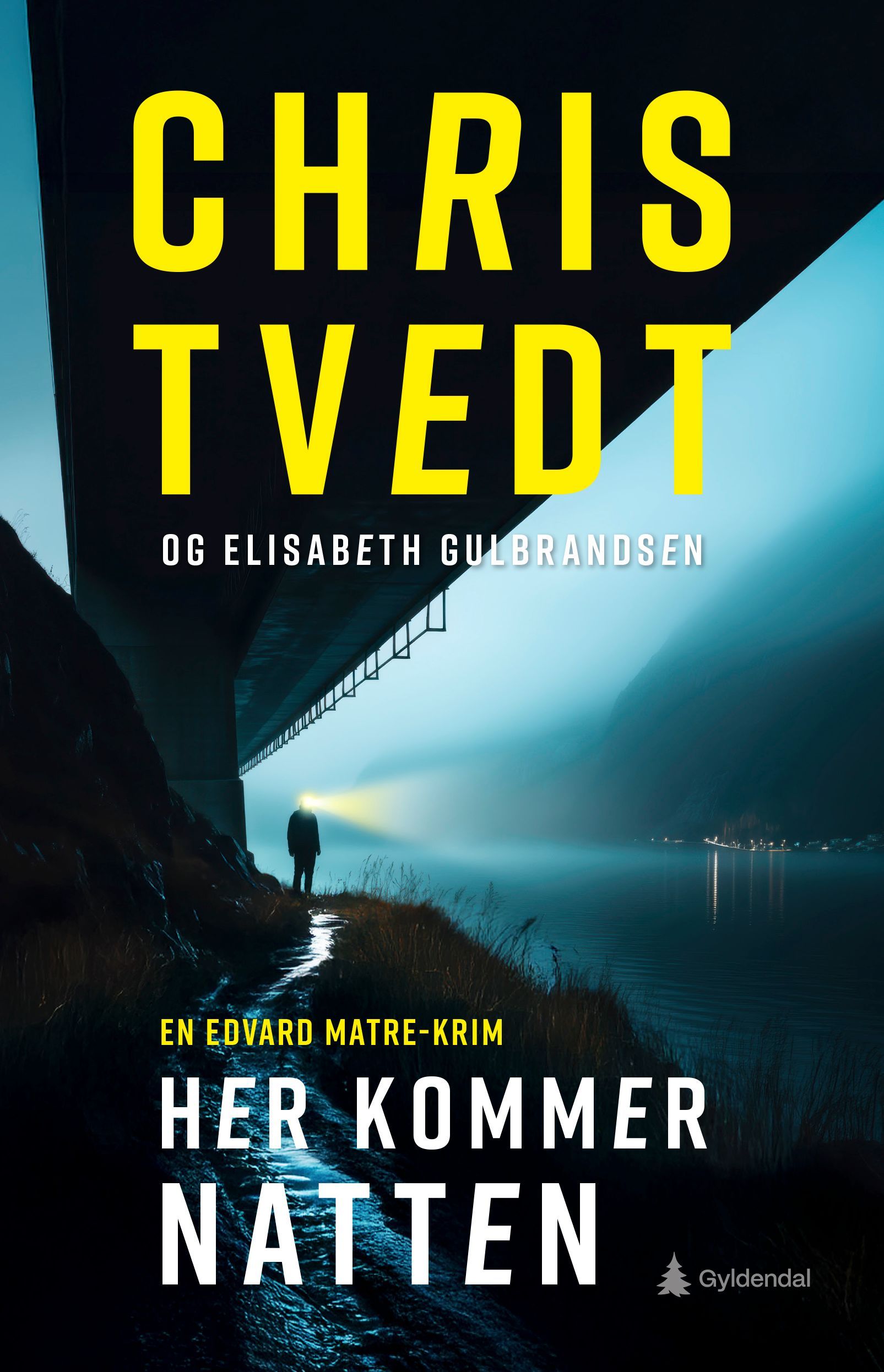 Her kommer natten : en Edvard Matre-krim