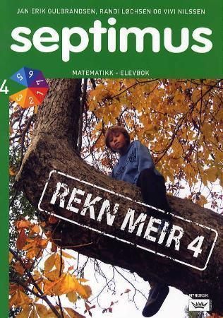 Septimus : rekn meir 4 : matematikk for barnesteget