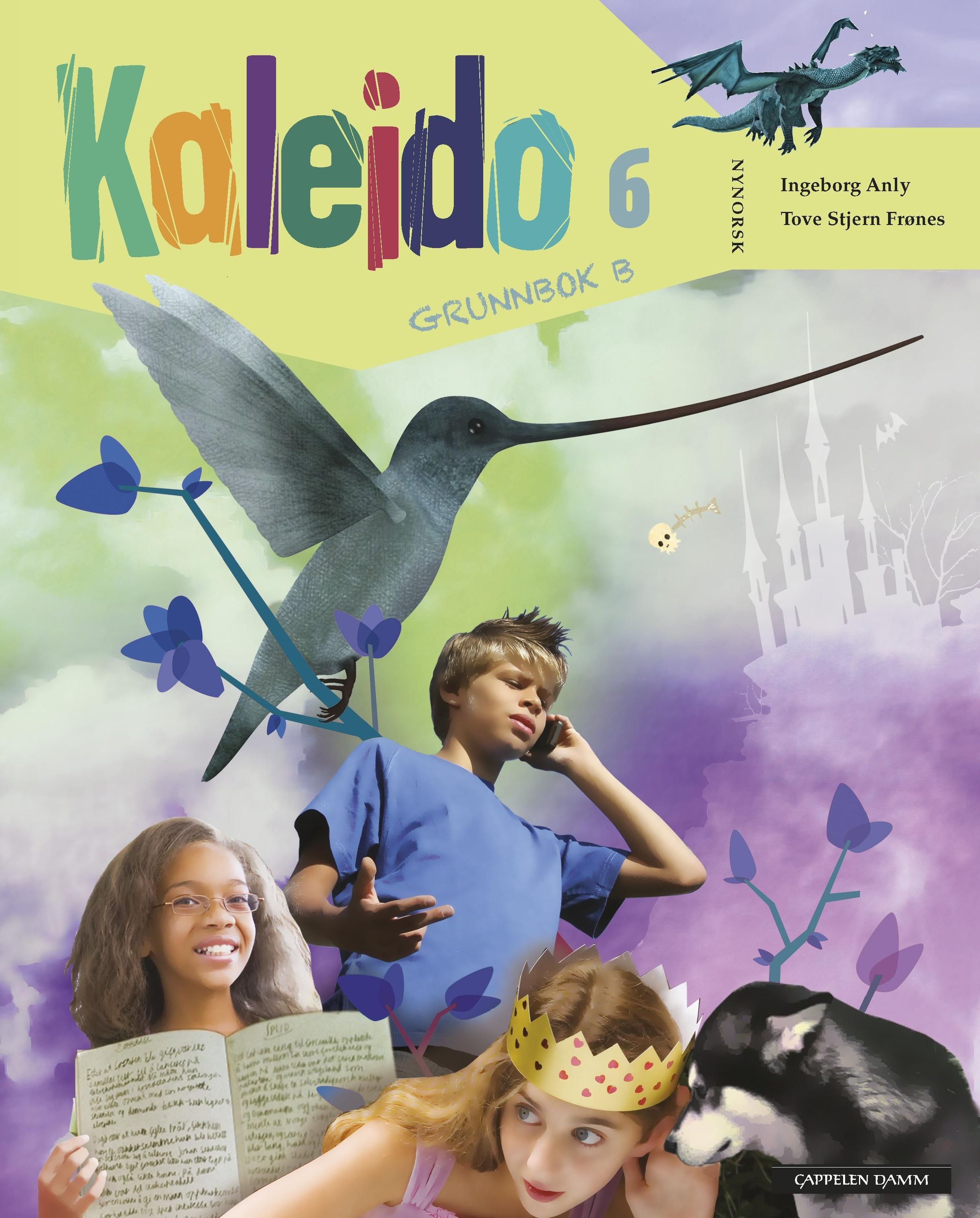 Kaleido 6. Grunnbok B