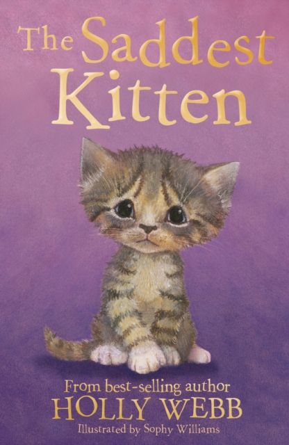 The saddest kitten